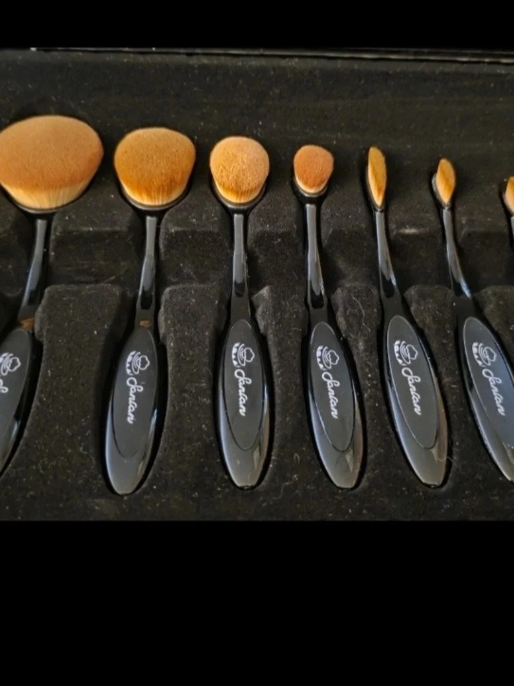 Sanlan Professional Makeup Brush Set, 10-Piece Set Includes Brush, Black NEW
